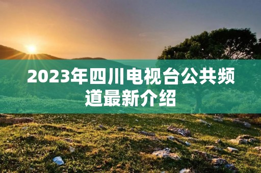 2023年四川电视台公共频道最新介绍 2023年四川电视台公共频道最新介绍