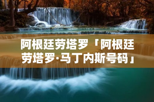 阿根廷劳塔罗「阿根廷劳塔罗·马丁内斯号码」