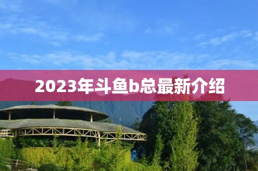 2023年斗鱼b总最新介绍 2023年斗鱼b总最新介绍