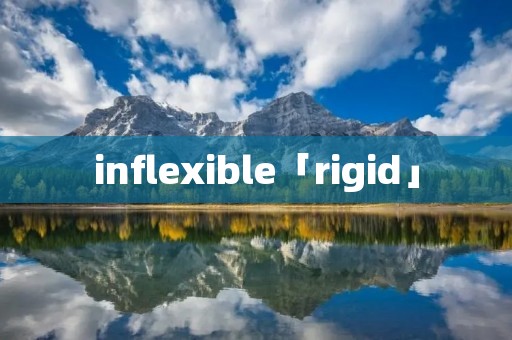 inflexible「rigid」