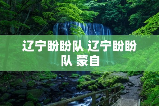 辽宁盼盼队 辽宁盼盼队 蒙自