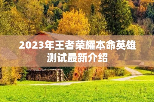 2023年王者荣耀本命英雄测试最新介绍