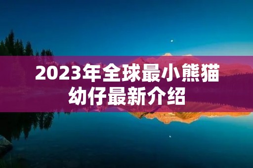 2023年全球最小熊猫幼仔最新介绍
