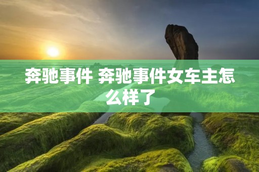 奔驰事件 奔驰事件女车主怎么样了