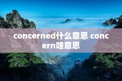 concerned什么意思 concern啥意思