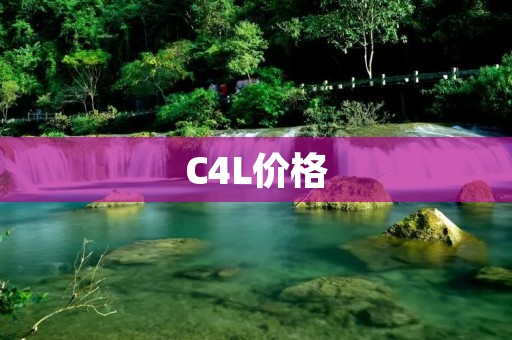 C4L价格:如何合理选择? C4L价格:如何合理选择?