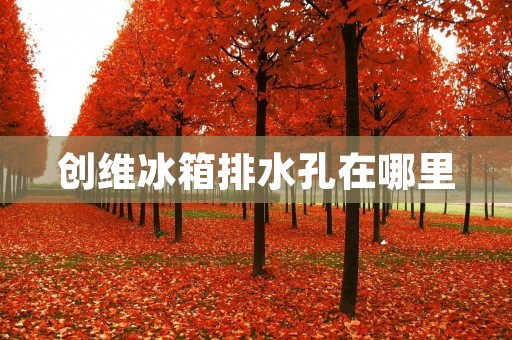 创维冰箱排水孔在哪里