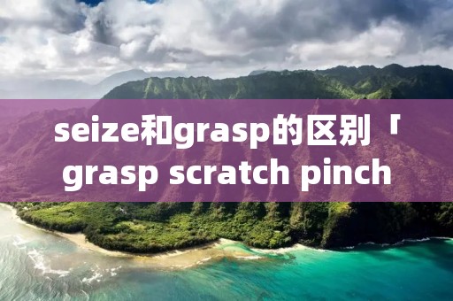 seize和grasp的区别「grasp scratch pinch seize的区别」