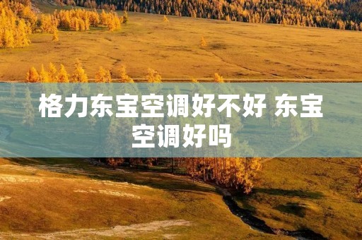 格力东宝空调好不好 东宝空调好吗