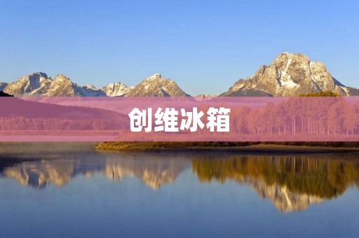 创维冰箱:中国制造的高品质家电 创维冰箱:中国制造的高品质家电