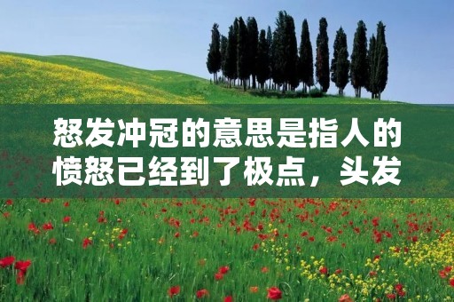 怒发冲冠的意思是指人的愤怒已经到了极点，头发竖立，发丝直冒出来，就像头顶上顶着一顶帽子一样。这个成语源于《三国演义》中张飞怒斥刘备的情节，后来逐渐演变成了形容人愤怒到了极点的场景。