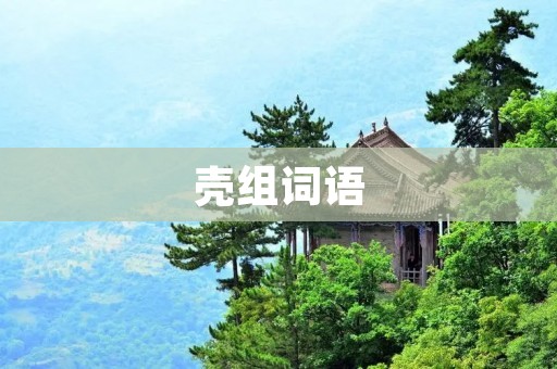 壳组词语:探究语言中的“拼凑” 壳组词语:探究语言中的“拼凑”