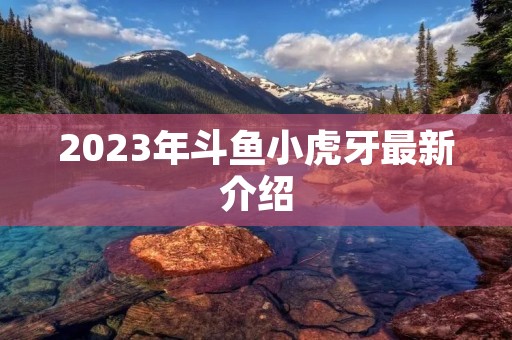 2023年斗鱼小虎牙最新介绍 2023年斗鱼小虎牙最新介绍