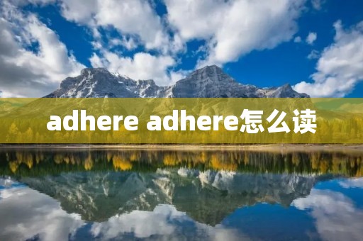adhere adhere怎么读