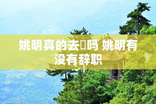 姚明真的去赾吗 姚明有没有辞职 姚明真的去赾吗 姚明有没有辞职