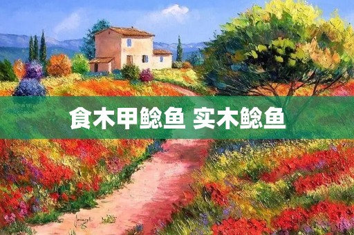 食木甲鲶鱼 实木鲶鱼