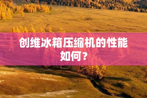 创维冰箱压缩机的性能如何? 创维冰箱压缩机的性能如何?