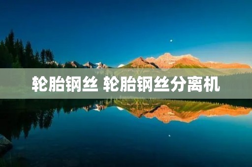 轮胎钢丝 轮胎钢丝分离机
