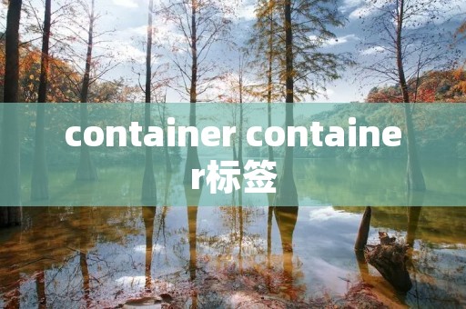 container container标签