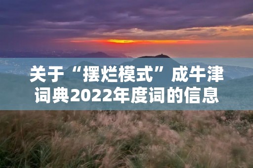 关于“摆烂模式”成牛津词典2022年度词的信息