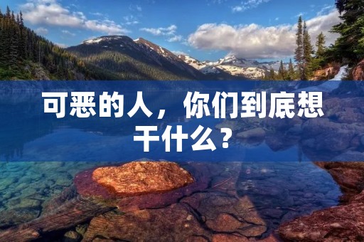 可恶的人,你们到底想干什么? 可恶的人,你们到底想干什么?