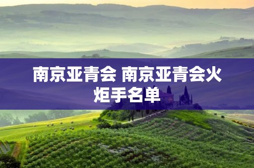 南京亚青会 南京亚青会火炬手名单