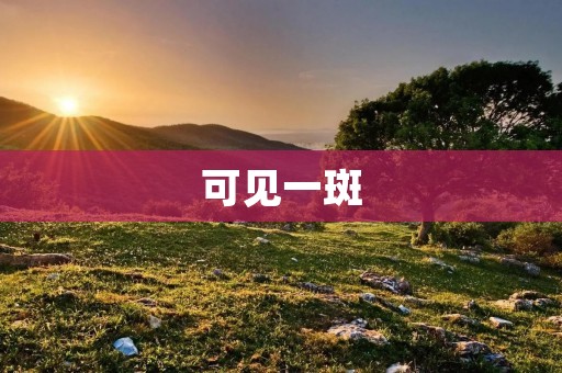 可见一斑:如何从细节看出一个人的品质 可见一斑:如何从细节看出一个人的品质
