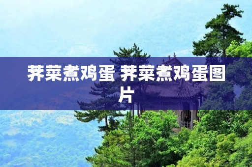 荠菜煮鸡蛋 荠菜煮鸡蛋图片