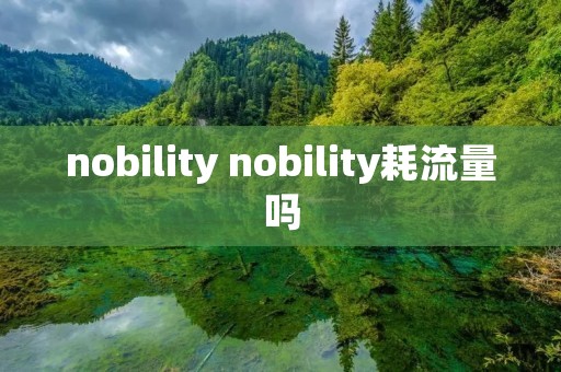 nobility nobility耗流量吗