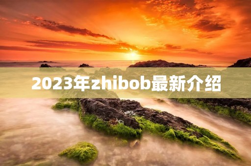 2023年zhibob最新介绍