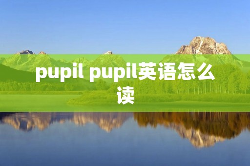 pupil pupil英语怎么读