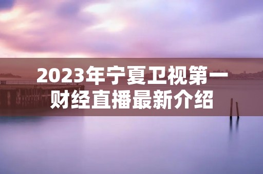 2023年宁夏卫视第一财经直播最新介绍