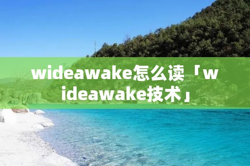 wideawake怎么读「wideawake技术」