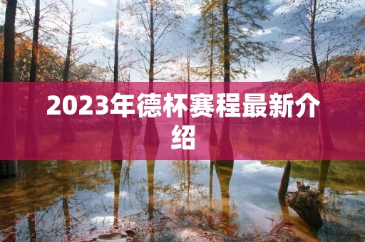 2023年德杯赛程最新介绍
