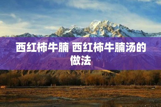 西红柿牛腩 西红柿牛腩汤的做法