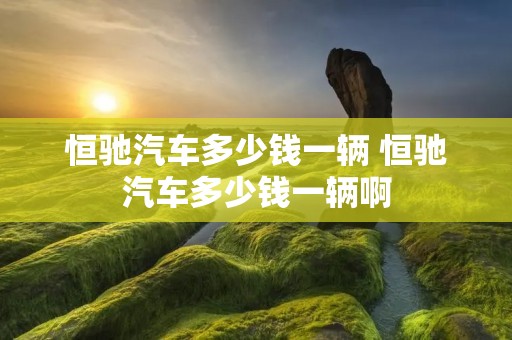 恒驰汽车多少钱一辆 恒驰汽车多少钱一辆啊