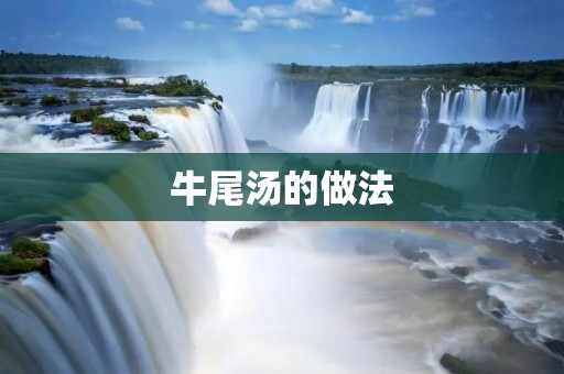 牛尾汤的做法:一道美味又营养的家常菜