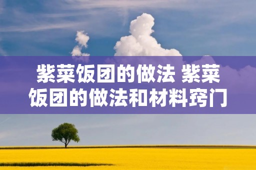 紫菜饭团的做法 紫菜饭团的做法和材料窍门 紫菜饭团的做法 紫菜饭团的做法和材料窍门