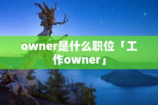 owner是什么职位「工作owner」