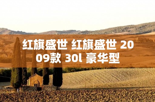 红旗盛世 红旗盛世 2009款 30l 豪华型