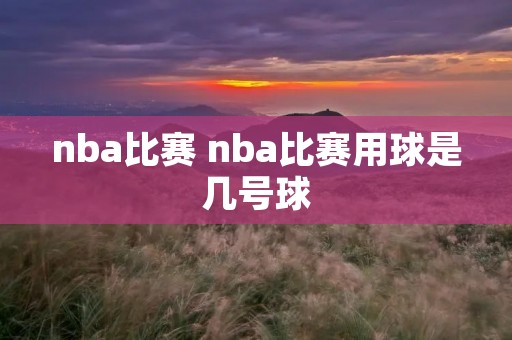 nba比赛 nba比赛用球是几号球