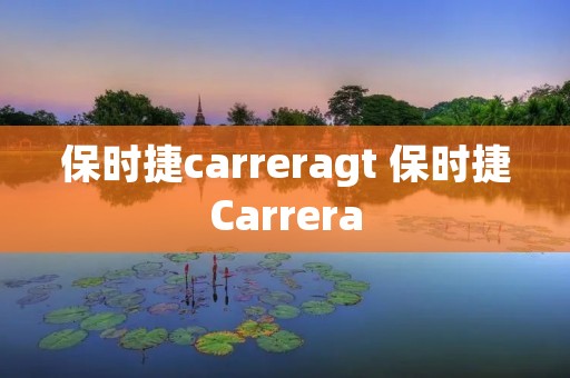 保时捷carreragt 保时捷Carrera