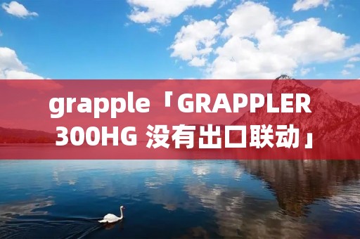 grapple「GRAPPLER 300HG 没有出口联动」