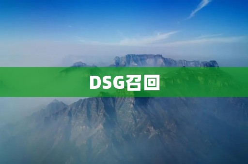DSG召回:缺陷背后的安全隐患 DSG召回:缺陷背后的安全隐患