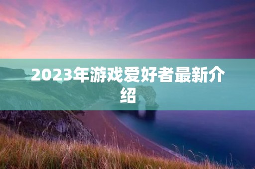 2023年游戏爱好者最新介绍