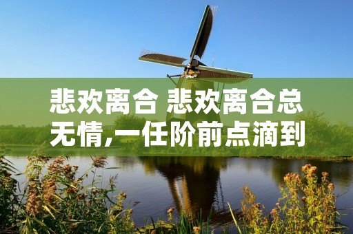 悲欢离合 悲欢离合总无情,一任阶前点滴到天明 悲欢离合 悲欢离合总无情,一任阶前点滴到天明