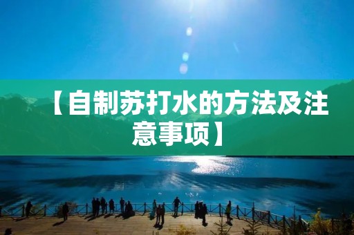 【自制苏打水的方法及注意事项】