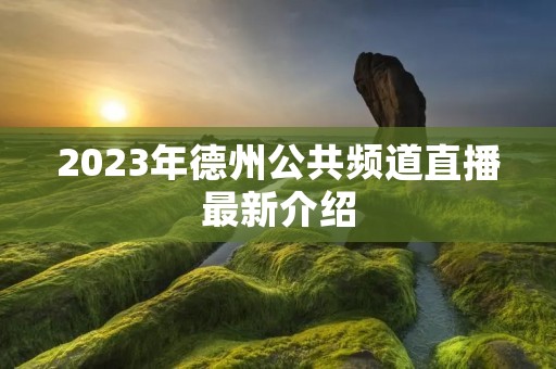 2023年德州公共频道直播最新介绍 2023年德州公共频道直播最新介绍