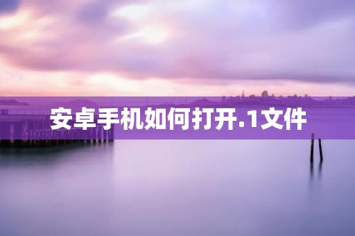 安卓手机如何打开.1文件