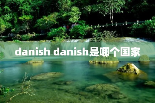 danish danish是哪个国家